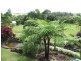 Malanda QLD 4885