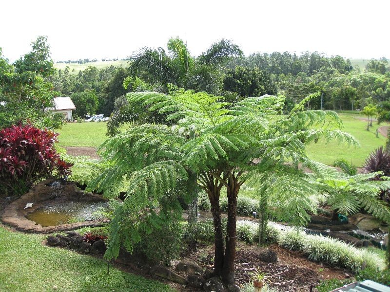 Malanda QLD 4885