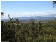 Tolga QLD 4882
