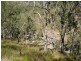 Tolga QLD 4882