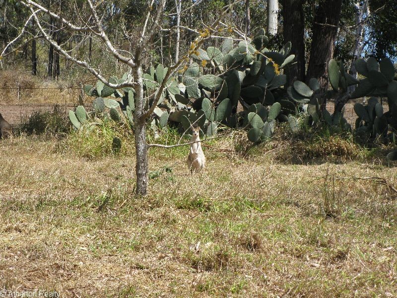 Tolga QLD 4882