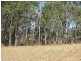 Tolga QLD 4882