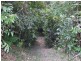 Malanda QLD 4885