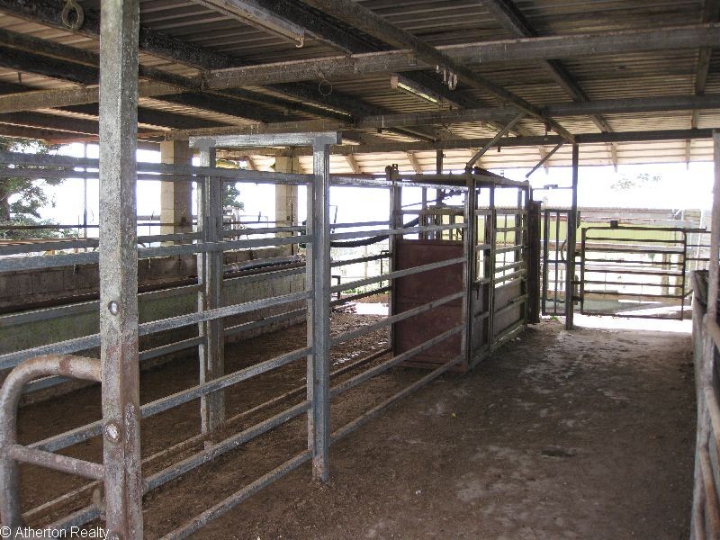 Millaa Millaa QLD 4886