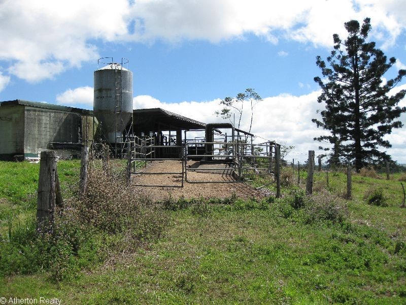 Millaa Millaa QLD 4886