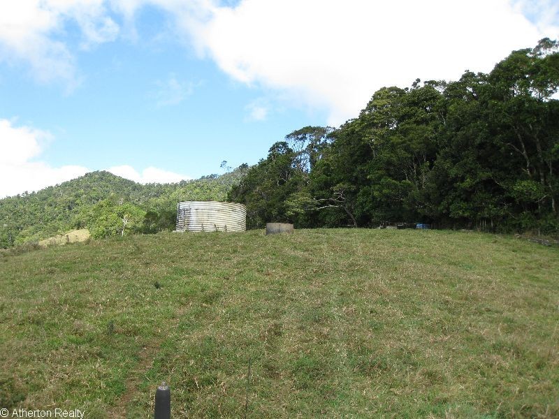 Millaa Millaa QLD 4886