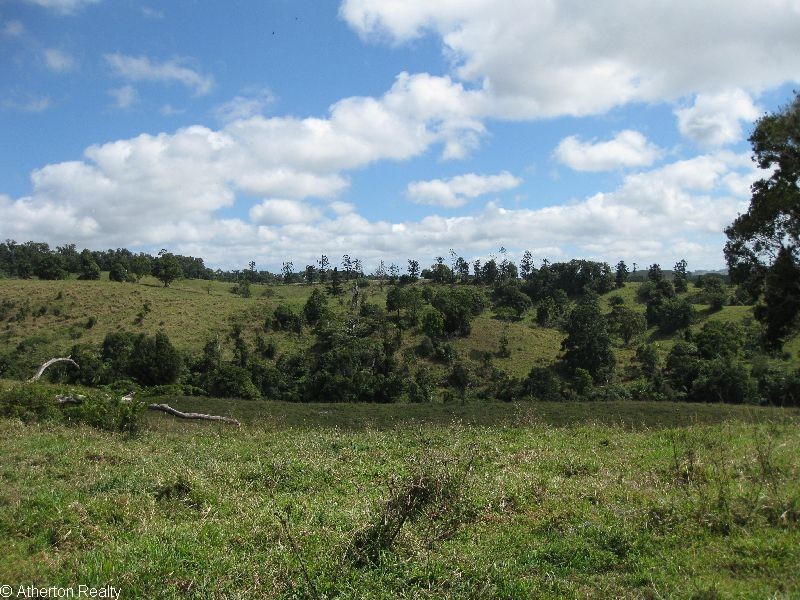 Millaa Millaa QLD 4886