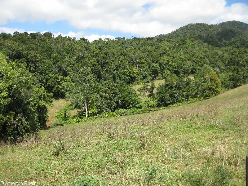 Millaa Millaa QLD 4886