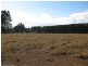 Tolga QLD 4882