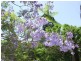 Herberton QLD 4887
