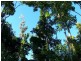 Innisfail QLD 4860