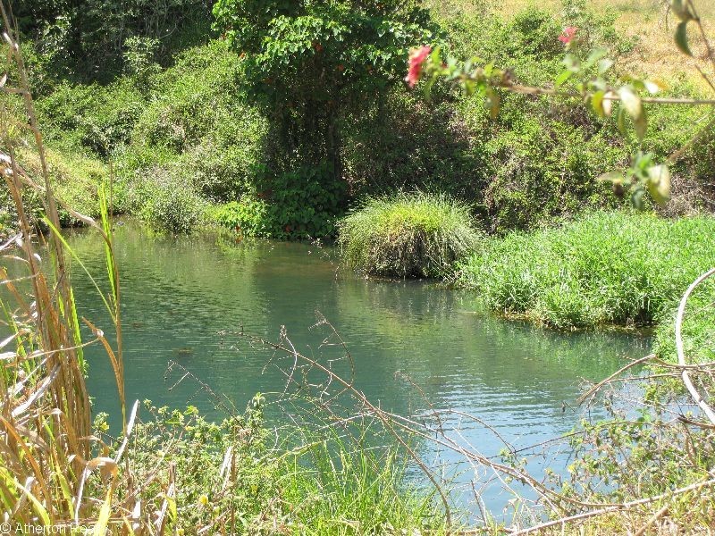 Upper Barron QLD 4883