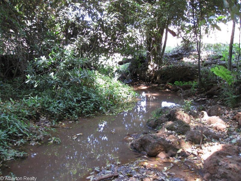 Upper Barron QLD 4883