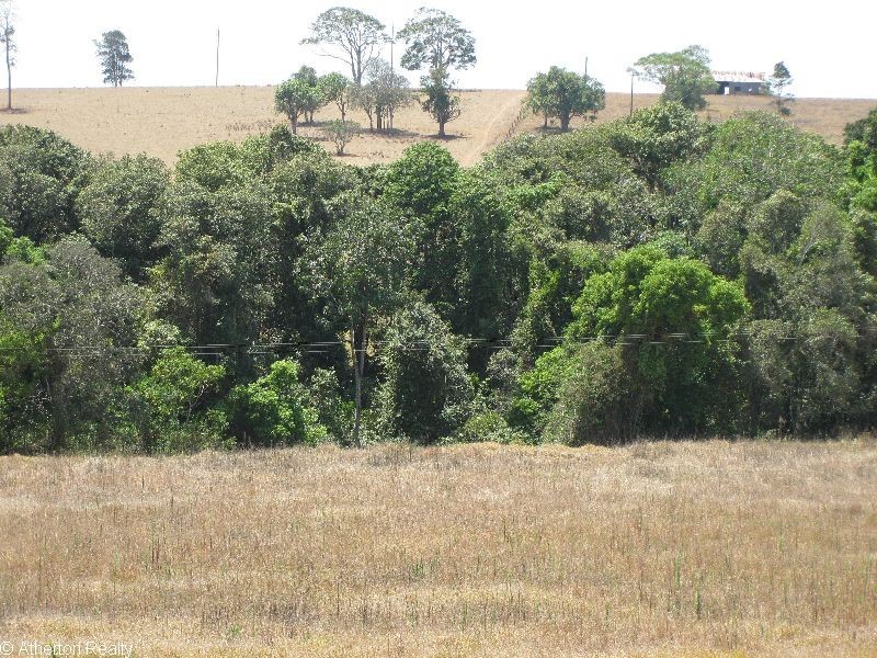 Upper Barron QLD 4883