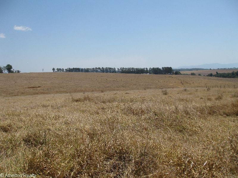 Upper Barron QLD 4883