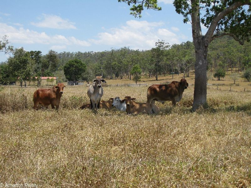 Upper Barron QLD 4883