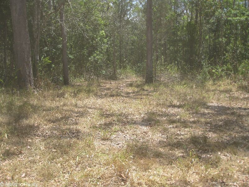 Upper Barron QLD 4883
