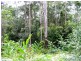 Upper Barron QLD 4883