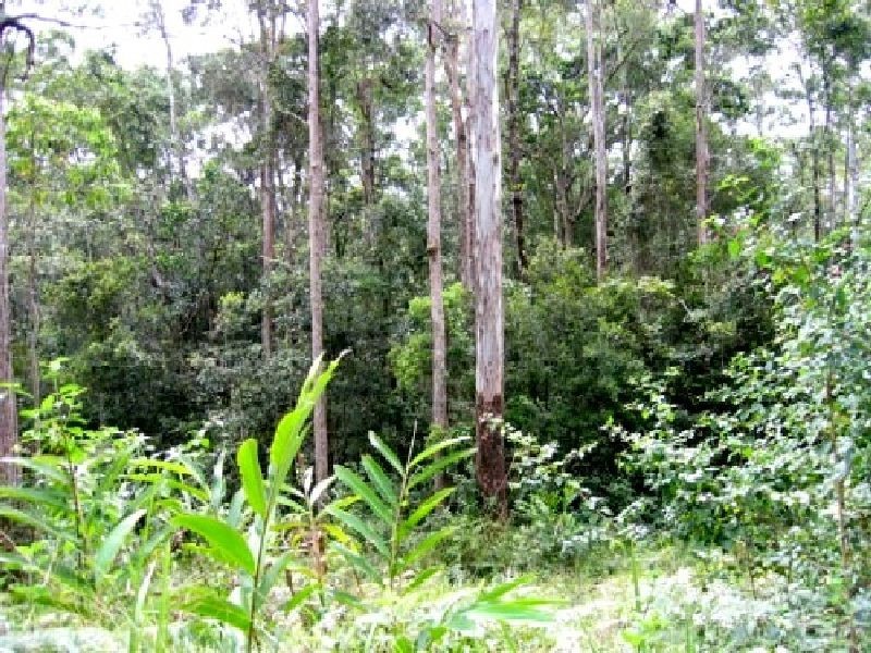 Upper Barron QLD 4883