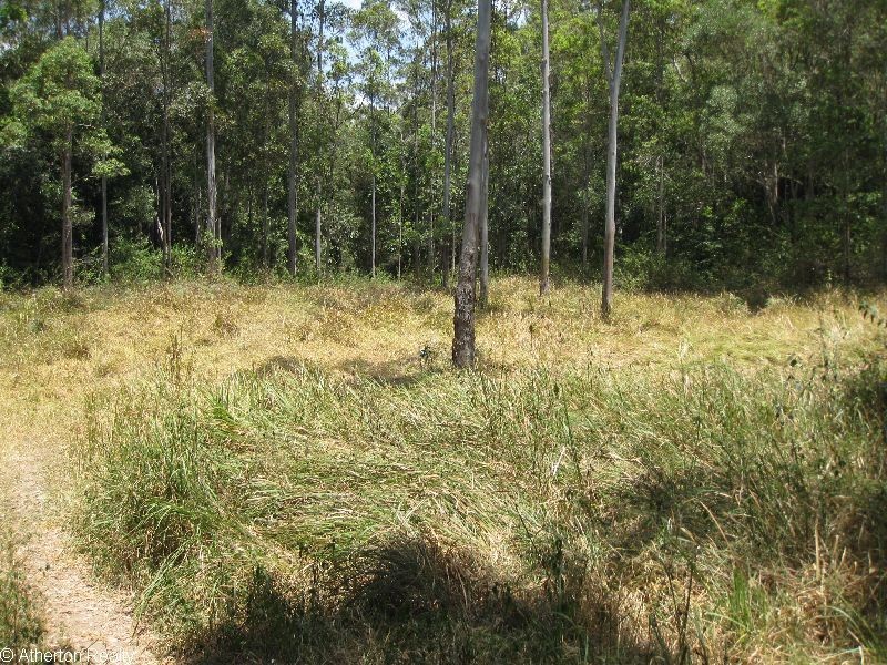 Upper Barron QLD 4883