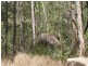 Upper Barron QLD 4883