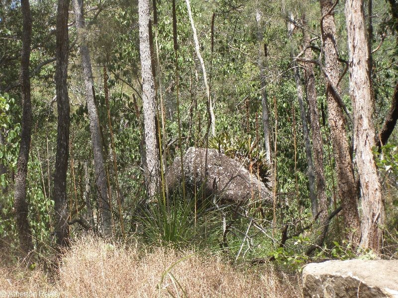 Upper Barron QLD 4883