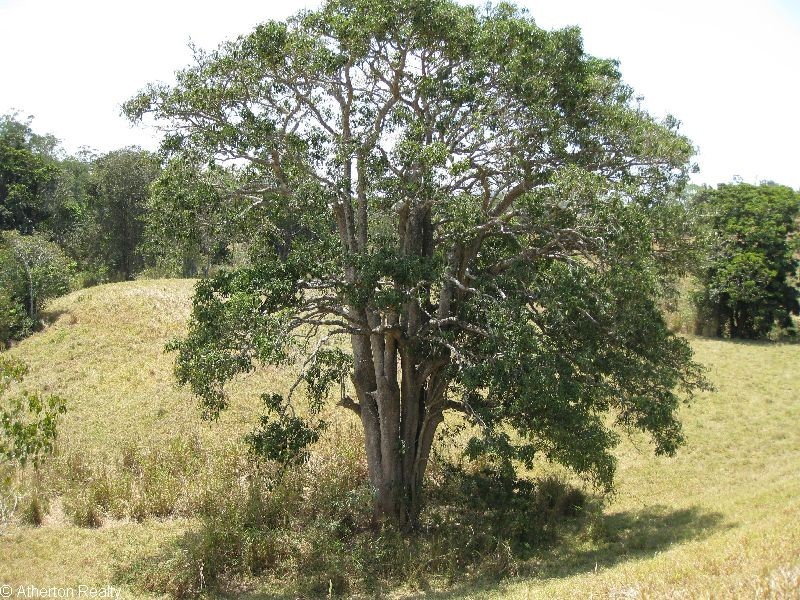 Upper Barron QLD 4883