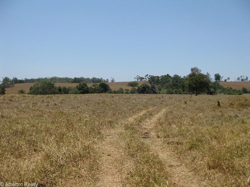 Upper Barron QLD 4883