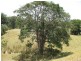 Upper Barron QLD 4883