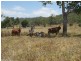 Upper Barron QLD 4883