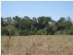 Upper Barron QLD 4883