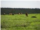 Mareeba QLD 4880
