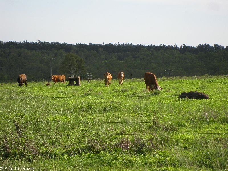 Mareeba QLD 4880