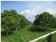 Mareeba QLD 4880