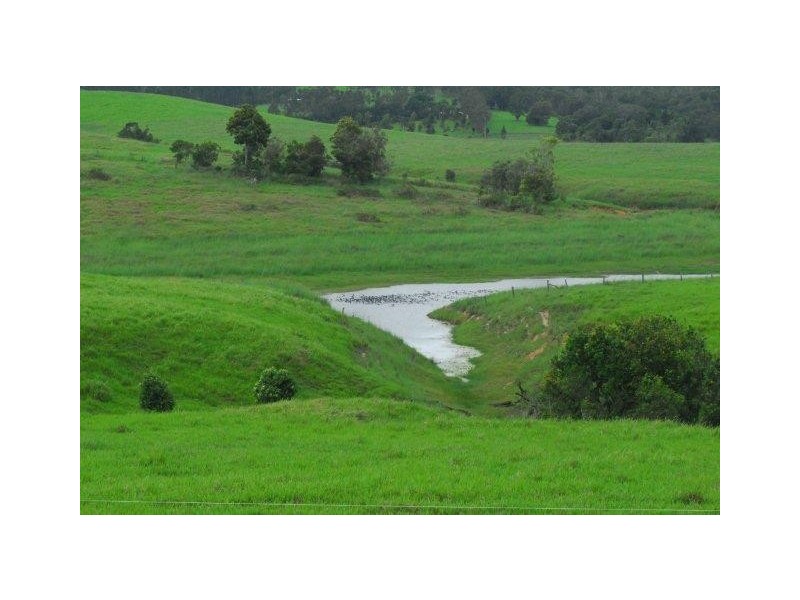 Yungaburra QLD 4884