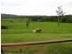 Yungaburra QLD 4884