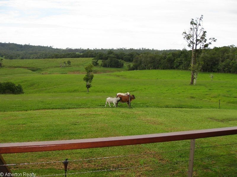 Yungaburra QLD 4884
