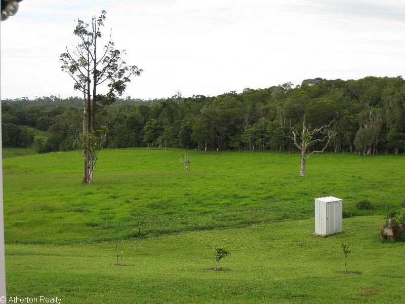 Yungaburra QLD 4884