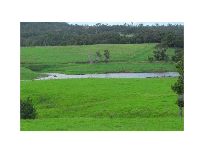 Yungaburra QLD 4884