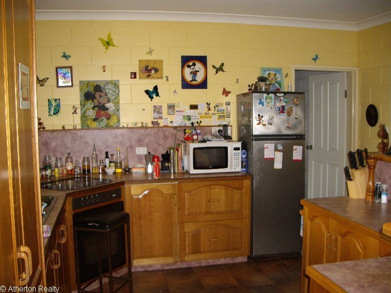 Lake Eacham QLD 4884