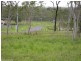Mareeba QLD 4880