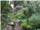 Wondecla QLD 4887