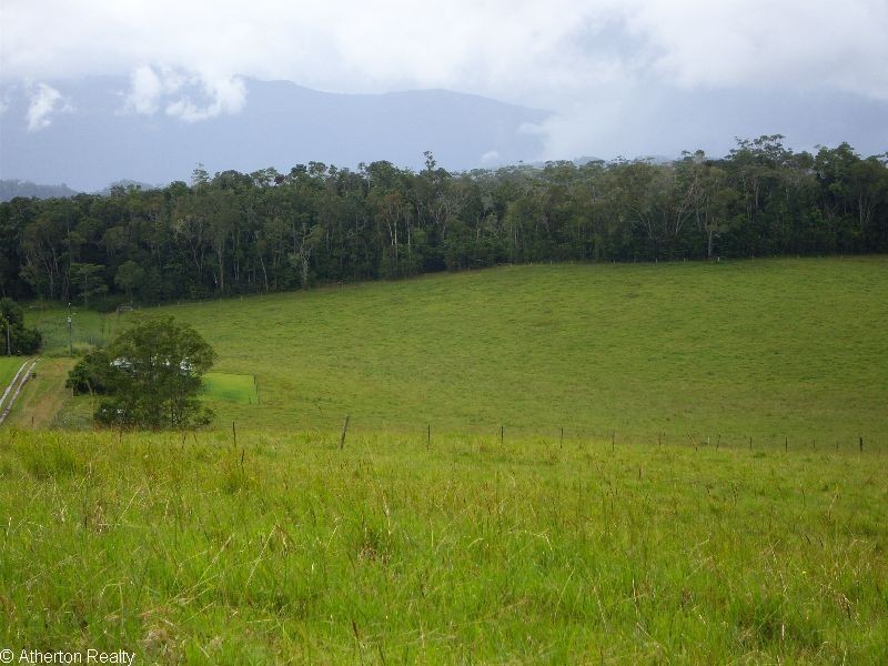 Lake Eacham QLD 4884