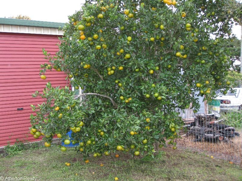Tolga QLD 4882
