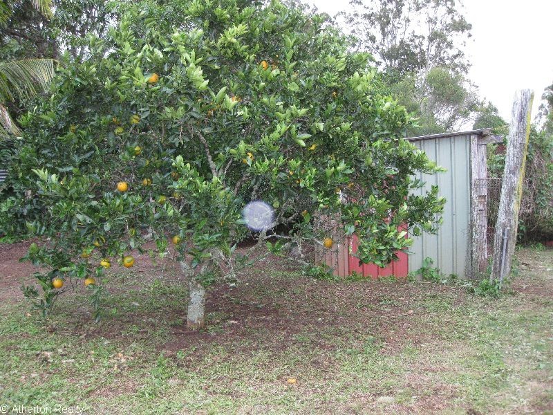 Tolga QLD 4882