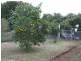 Tolga QLD 4882