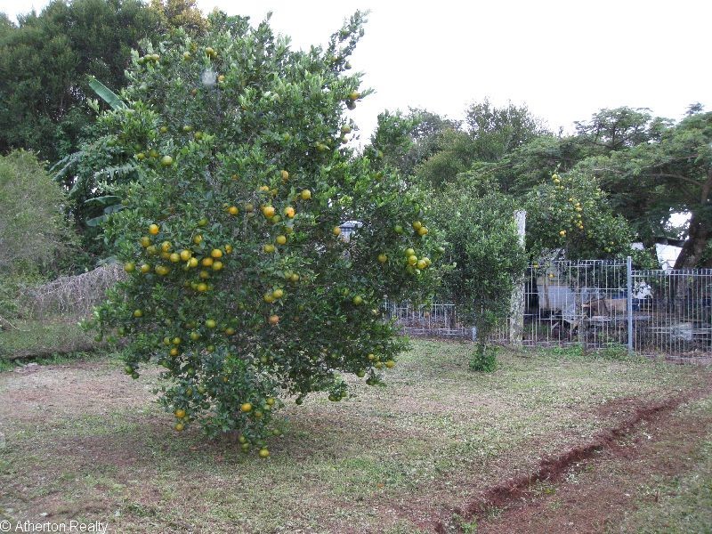Tolga QLD 4882