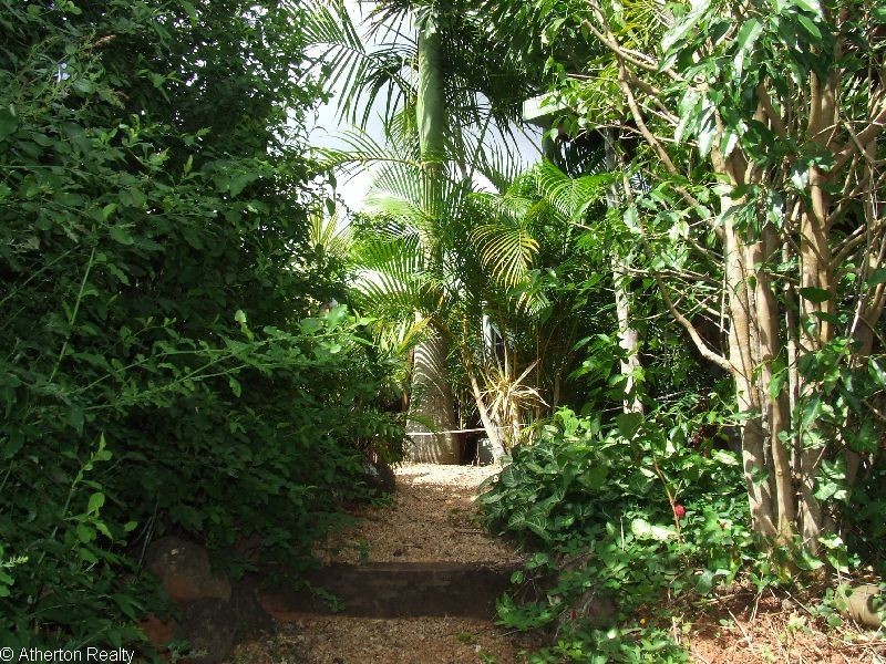 Yungaburra QLD 4884