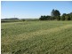 Tolga QLD 4882