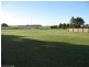 Tolga QLD 4882